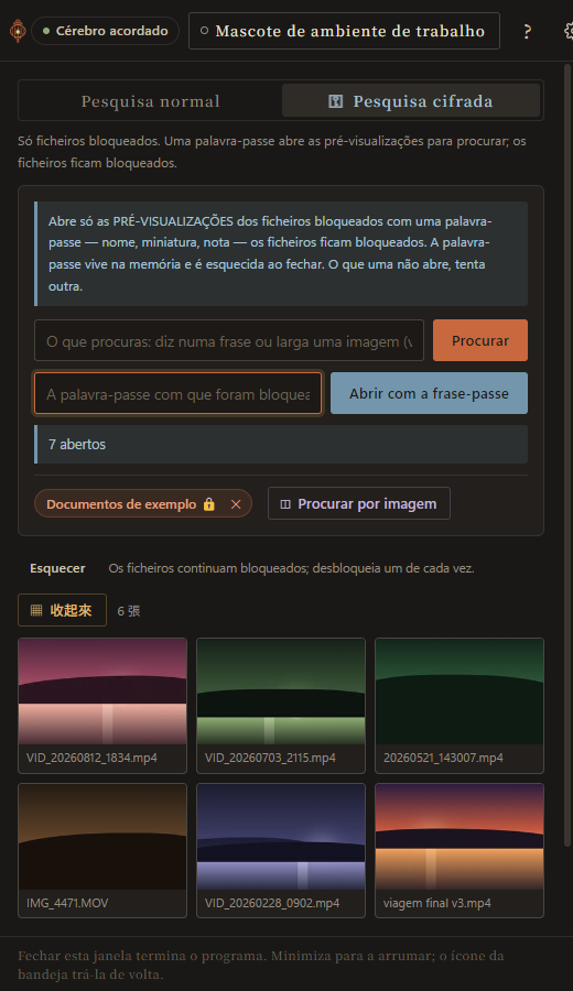 Vídeos bloqueados: miniaturas à vista, um desbloqueado